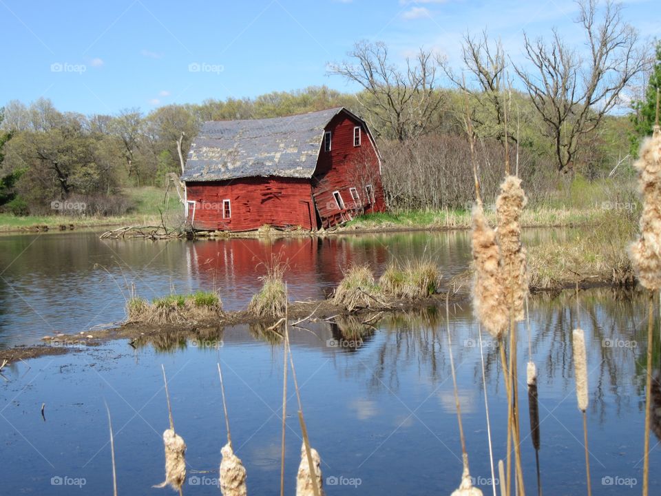 Barn sinking into a pond.