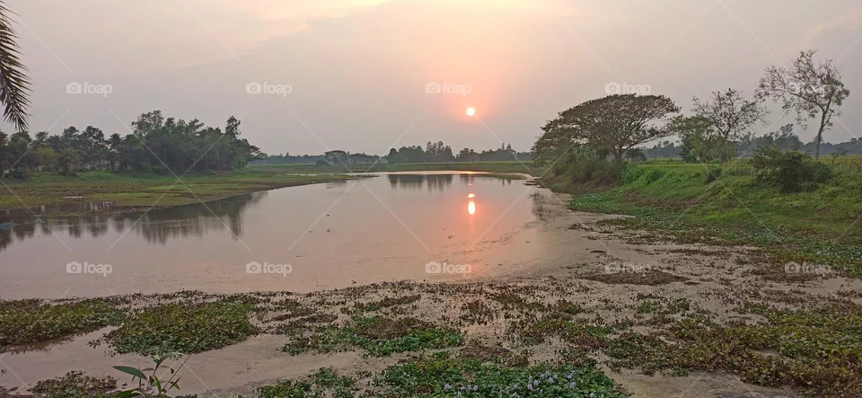 Sunset