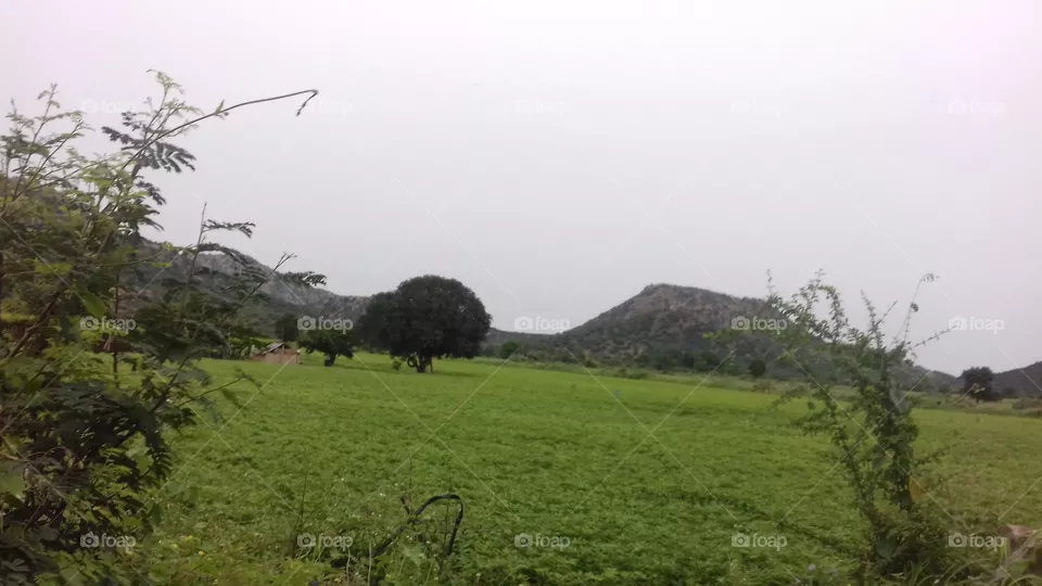 nature