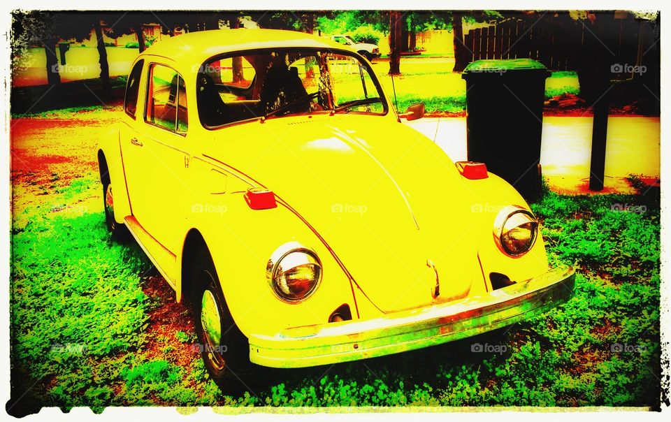 yellow bug. cool old Beetle