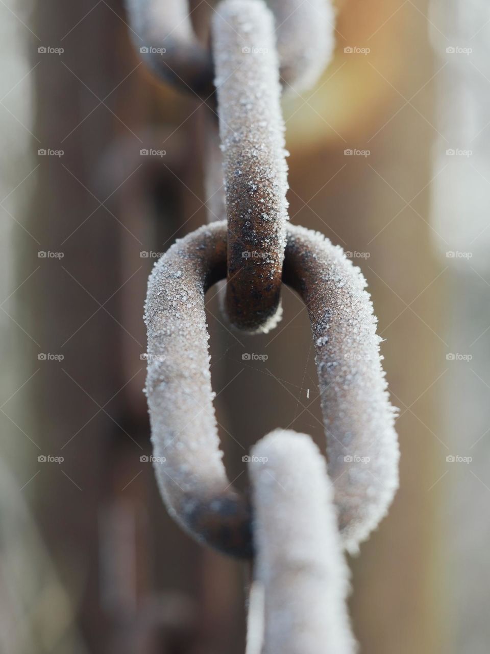 Frozen rusty chain links