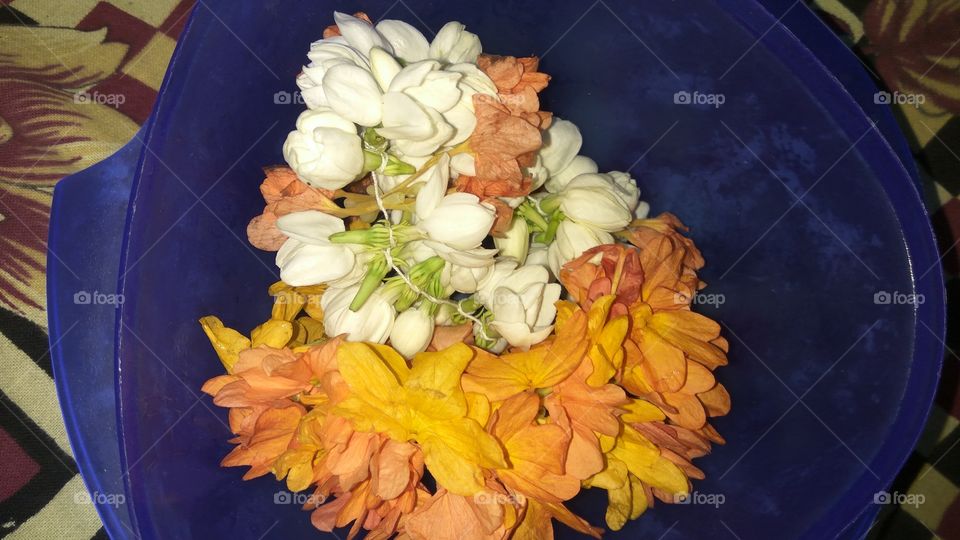 flowers in container