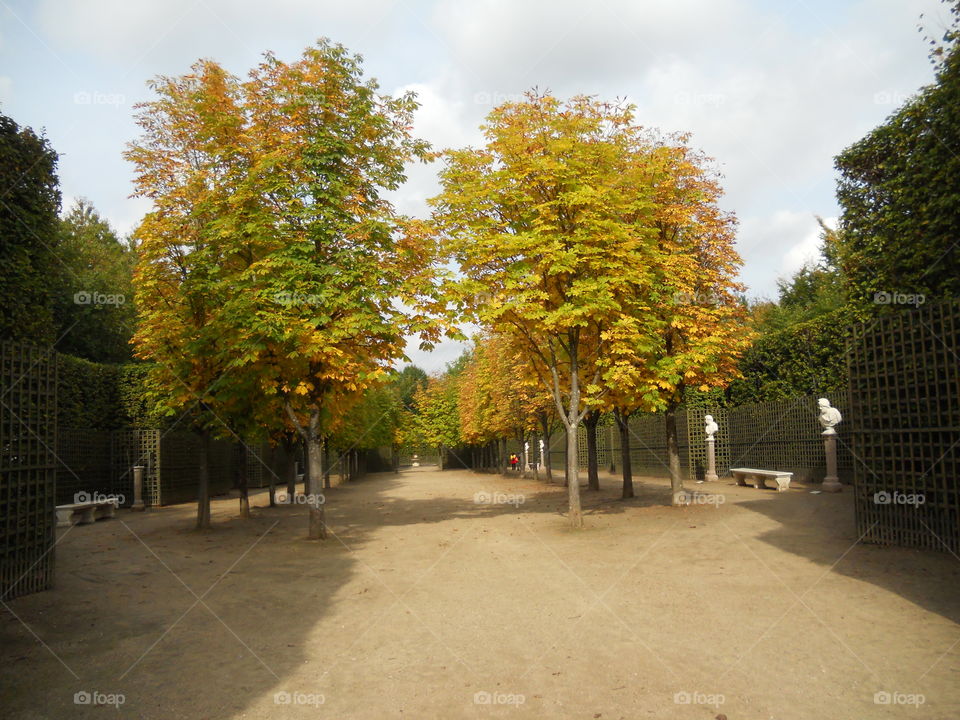Park of Versailles