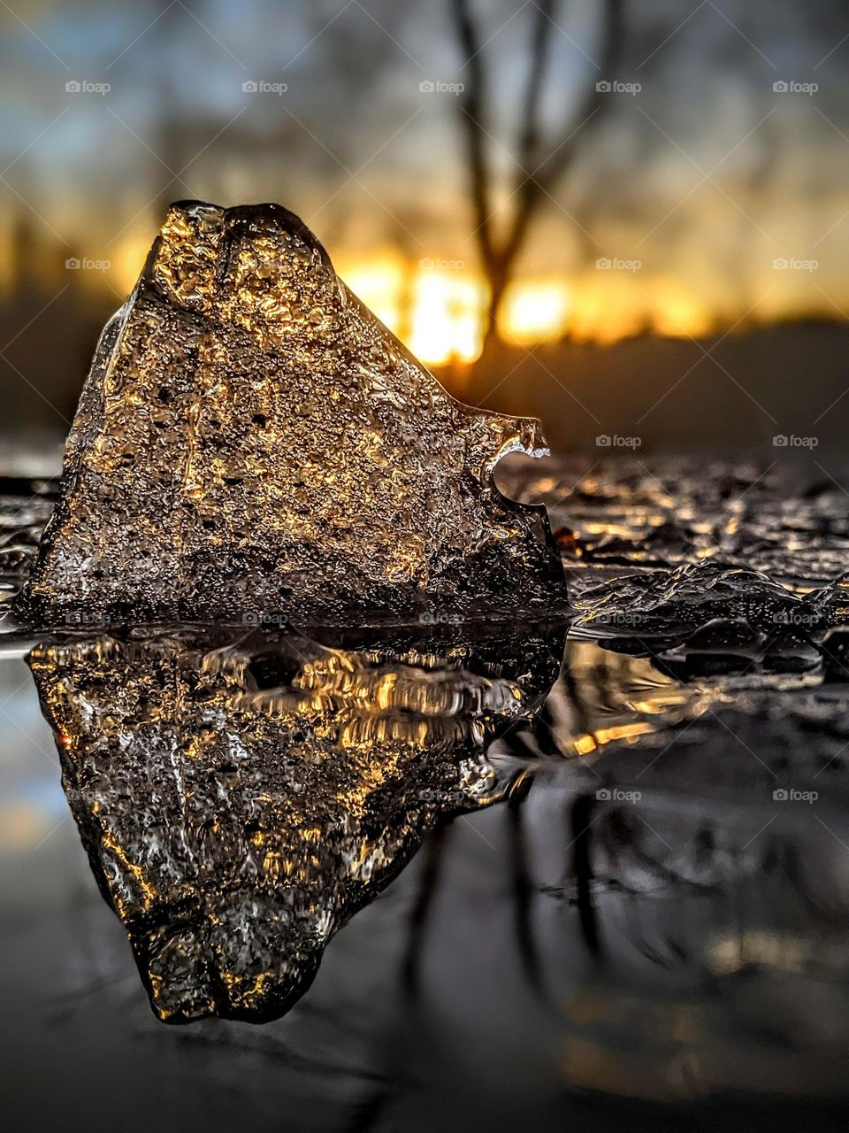 icy mud puddle