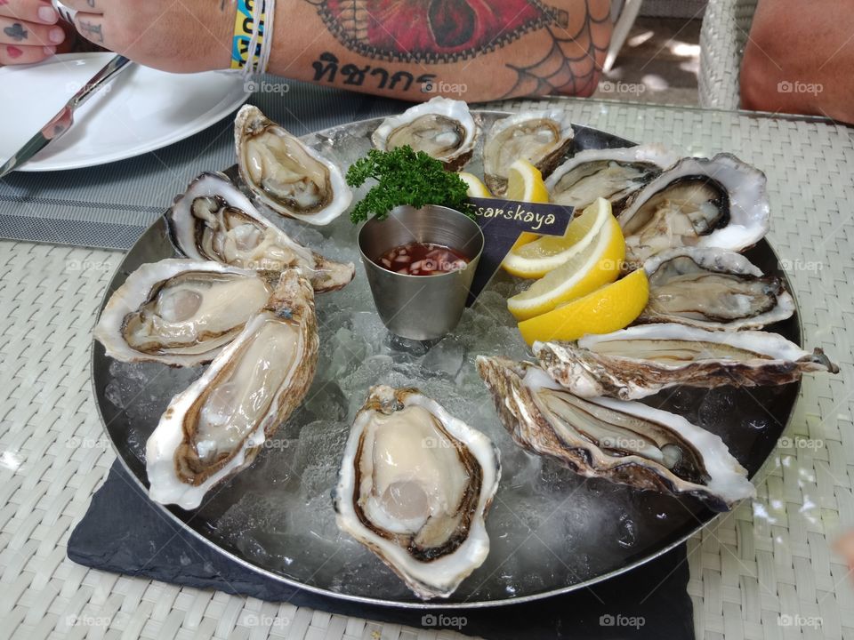 Oysters
