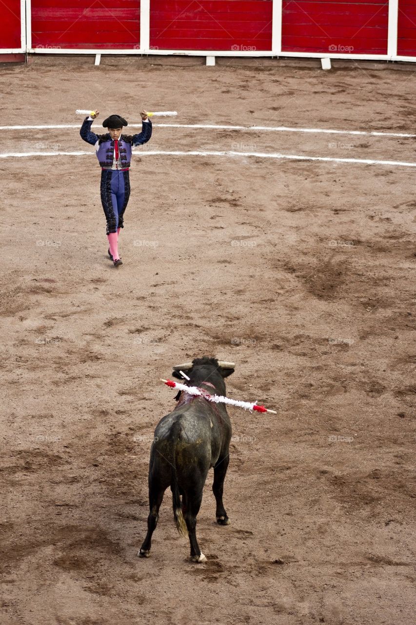 bullfighter