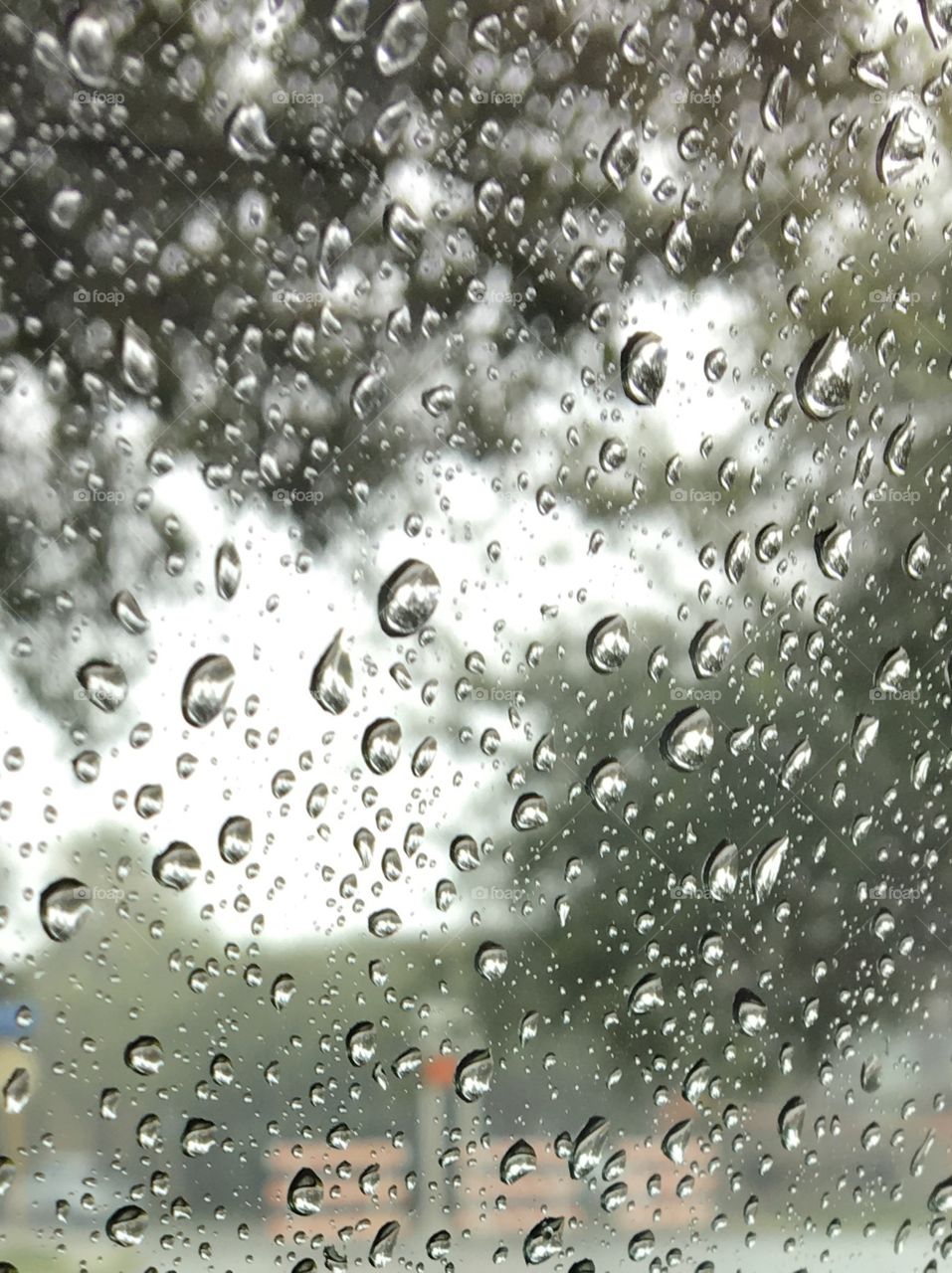Closeup rain