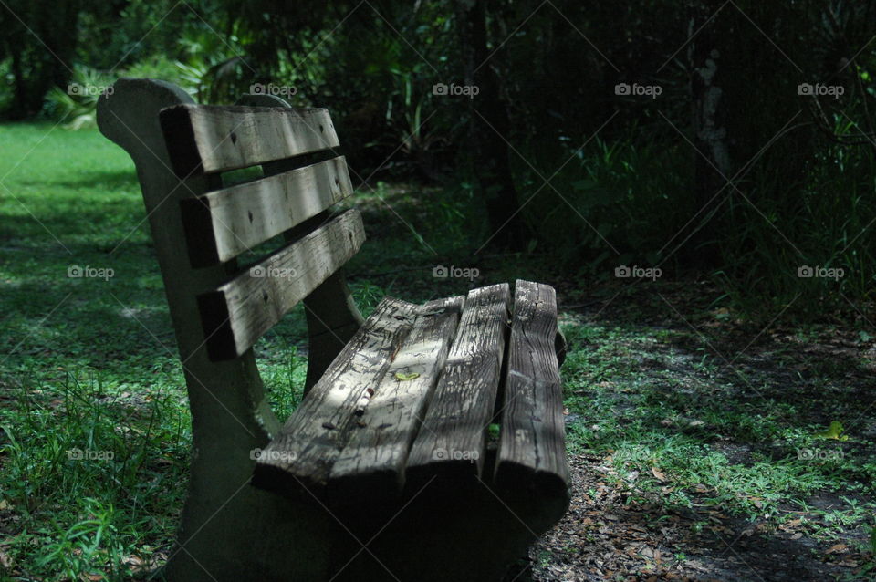 An empty bench in the woods