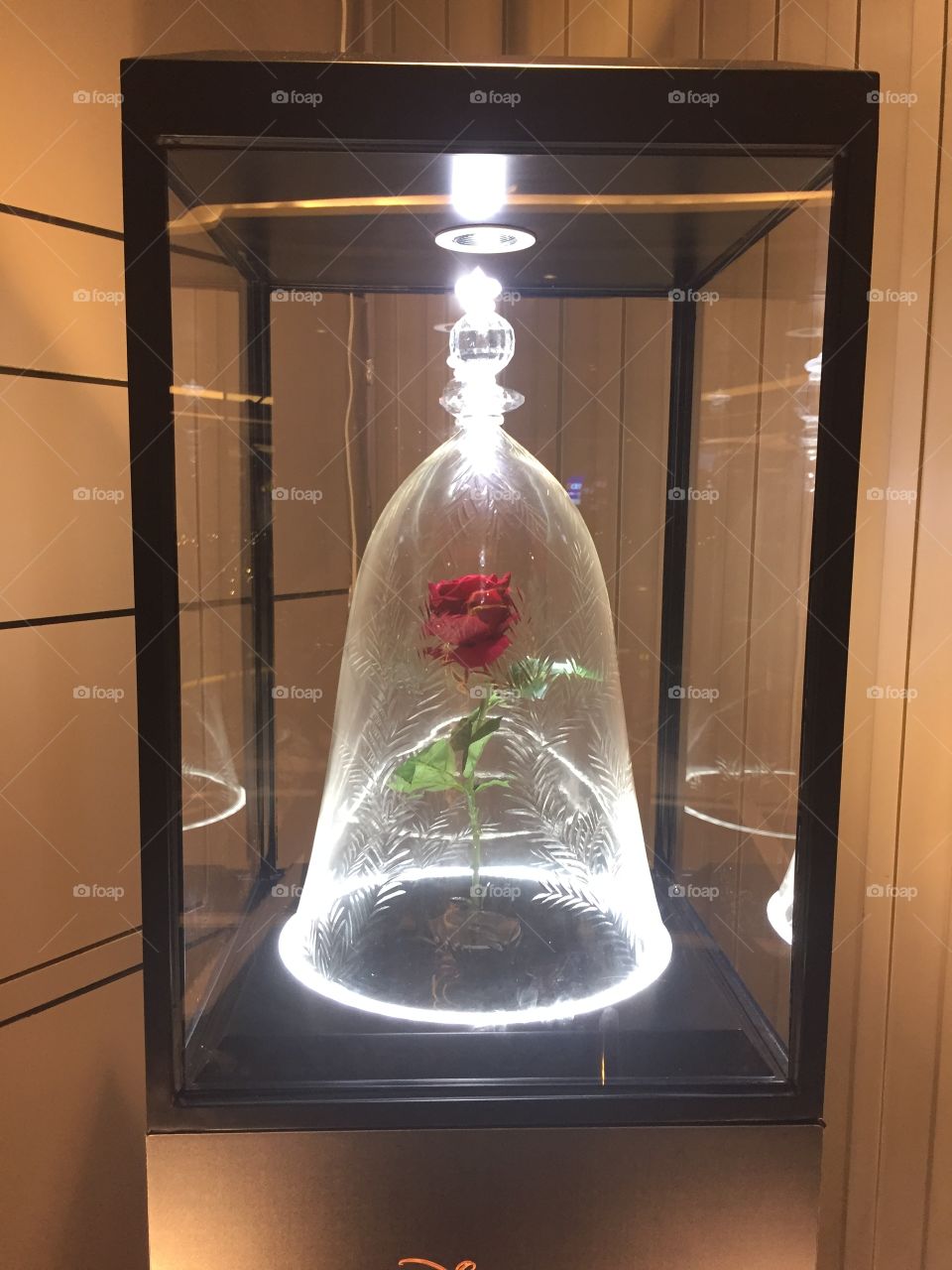 Rose in the crystal glass