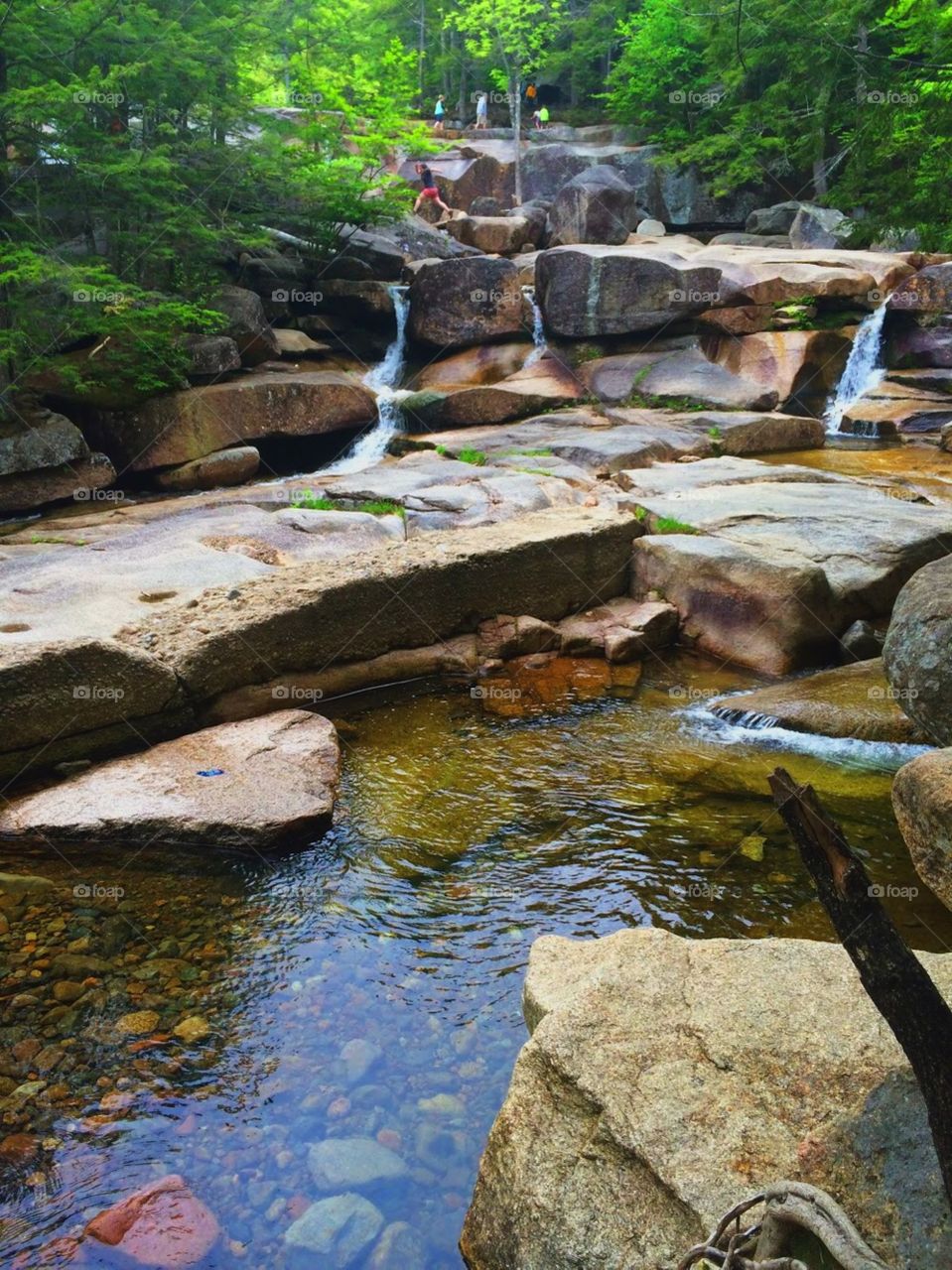 Diana’s Bath in New Hampshire. This lovely photo was taken years ago, but I just came across it once again. The bright colors, perfectly shaped rocks, and  stunning waterfalls make me want to come back here once again