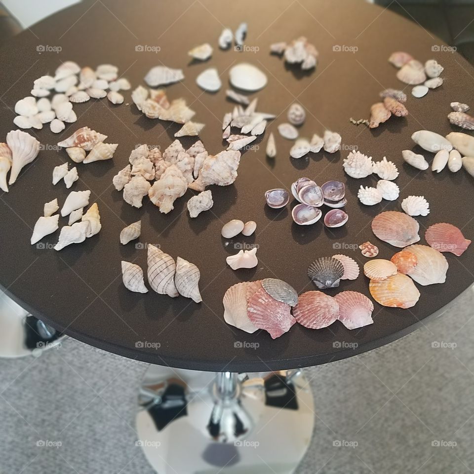 just a few of the homies. chillin in their groups🍄🍍☄🚣☄🌊🐚🐌🐳🐠🐡🐙