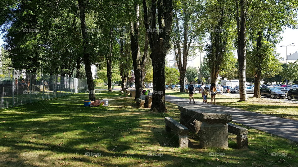 Park