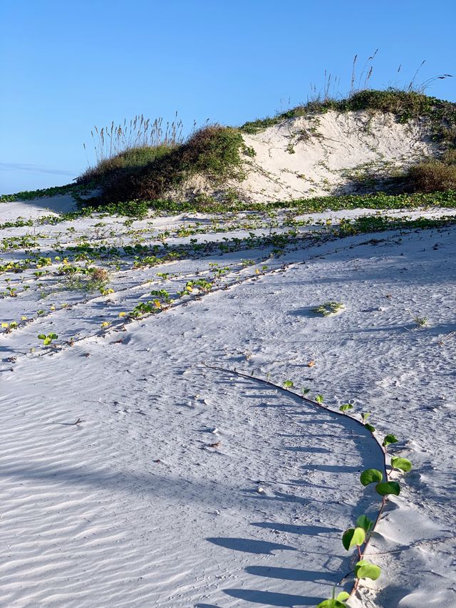 Beach Access