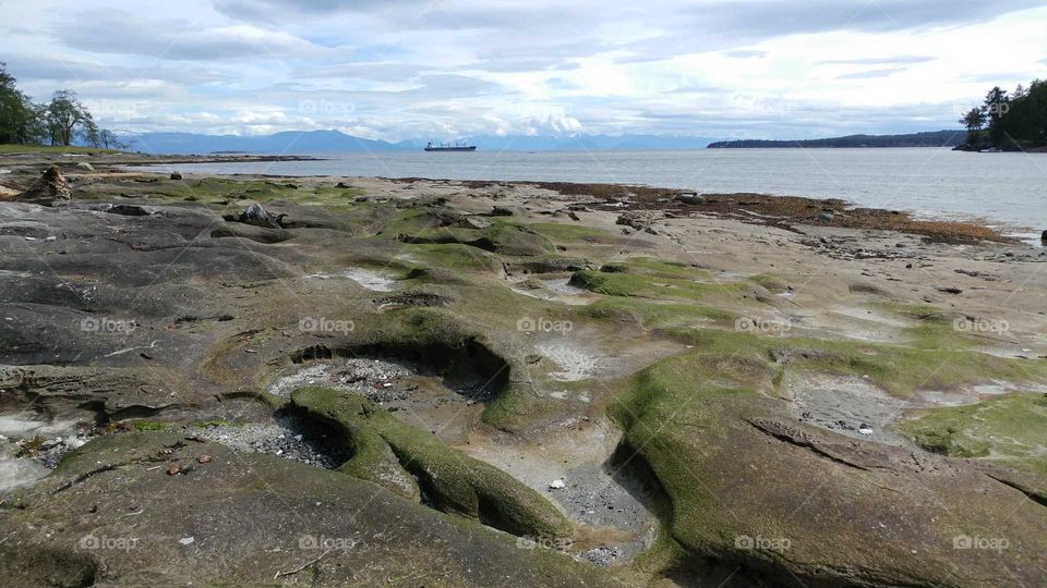Sandstone Newcastle Island BC Canada