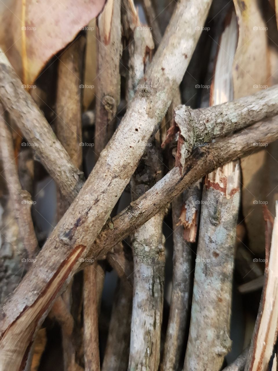Pile of sticks