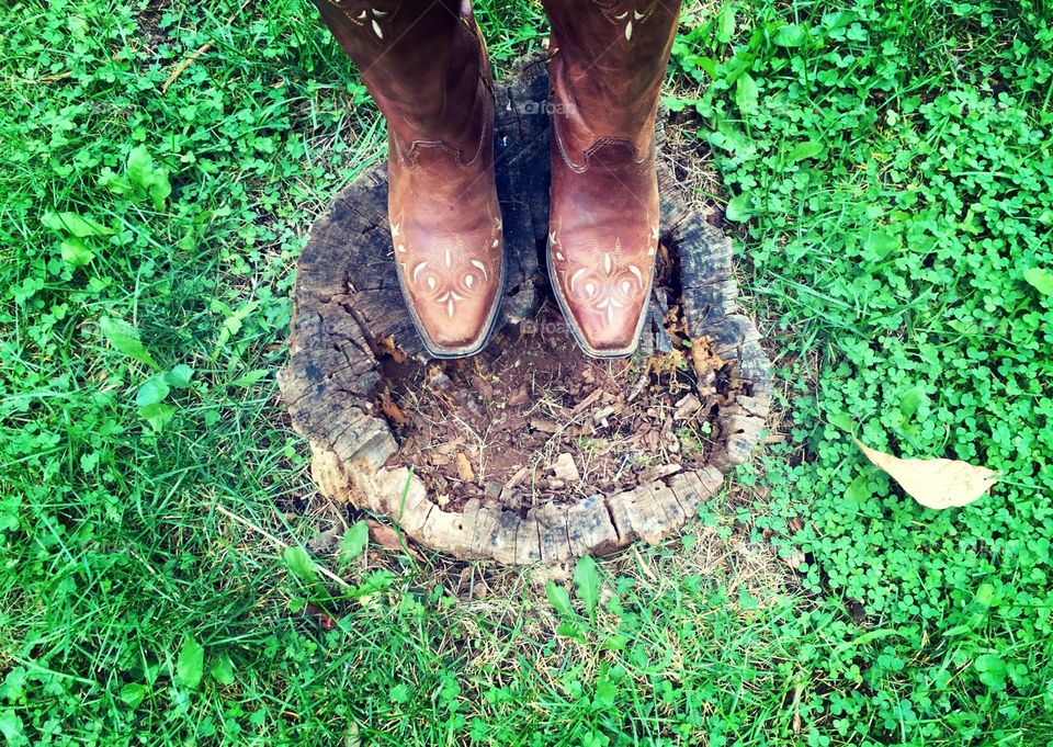 Boots and Stump