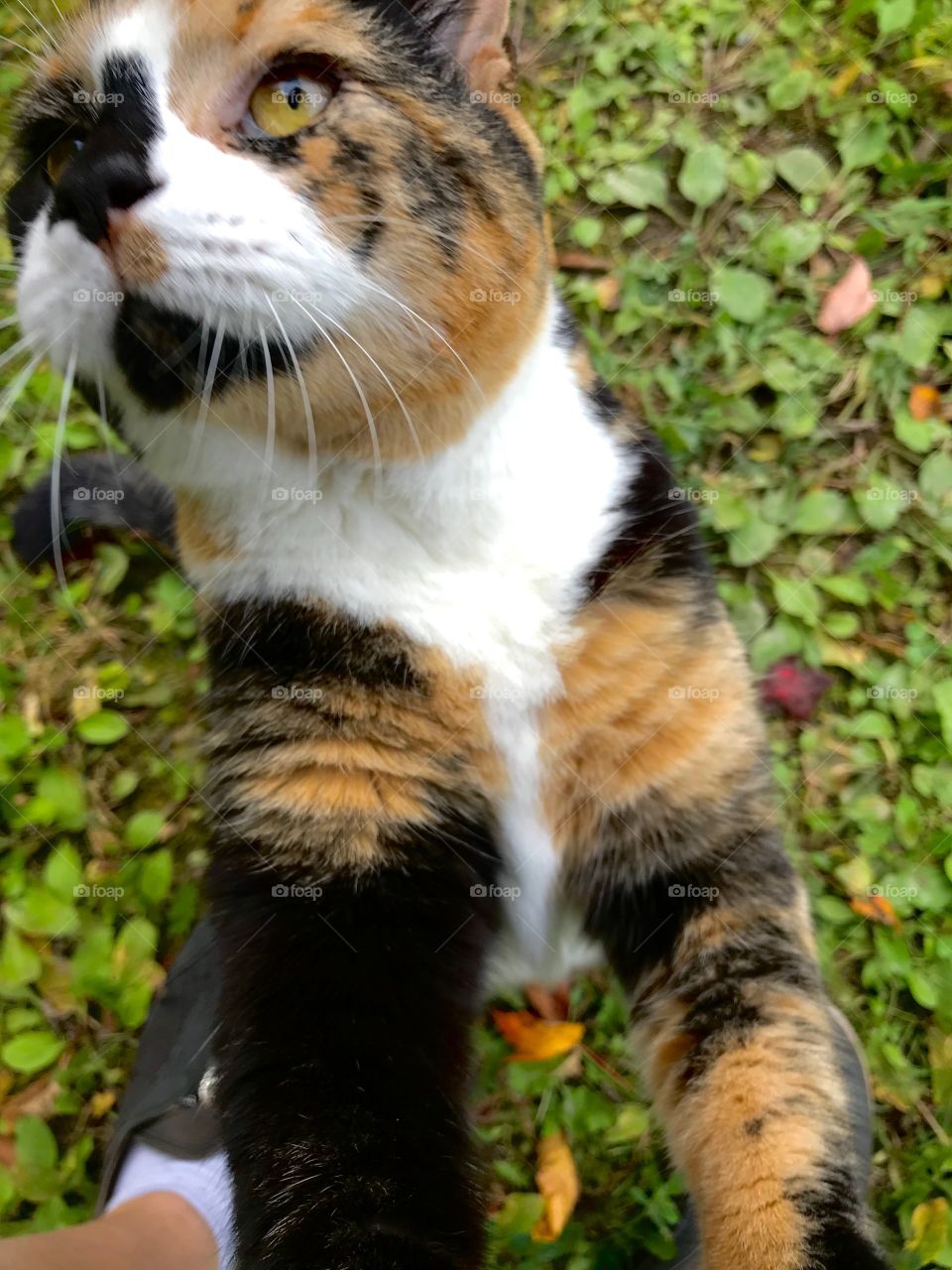 Standing up for attention 