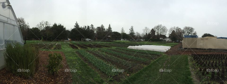 The French Laundry Garden