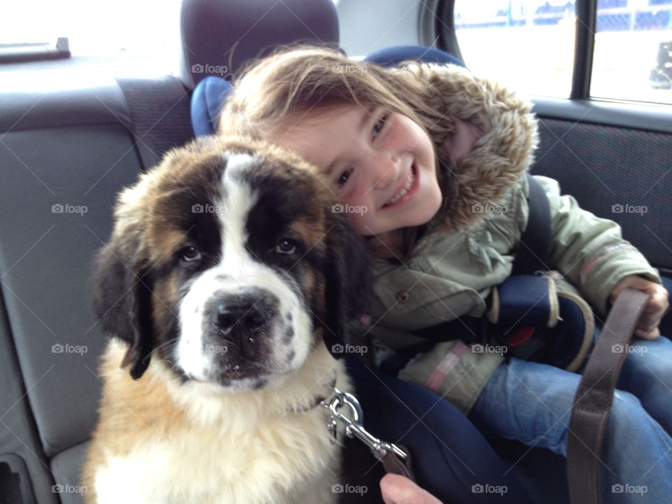 St Bernard love