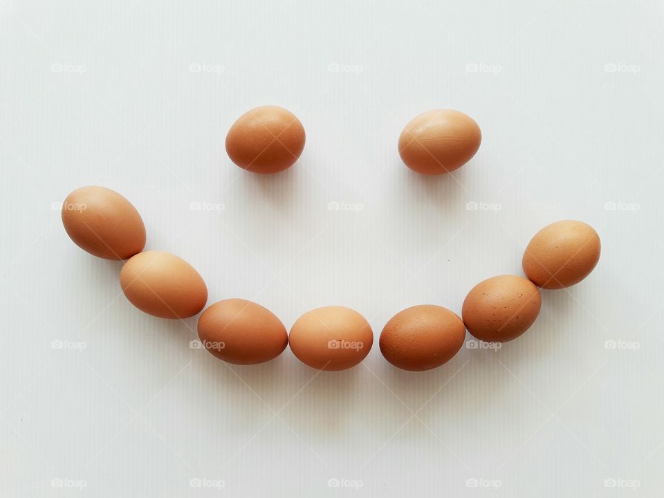 chicken eggs on white background