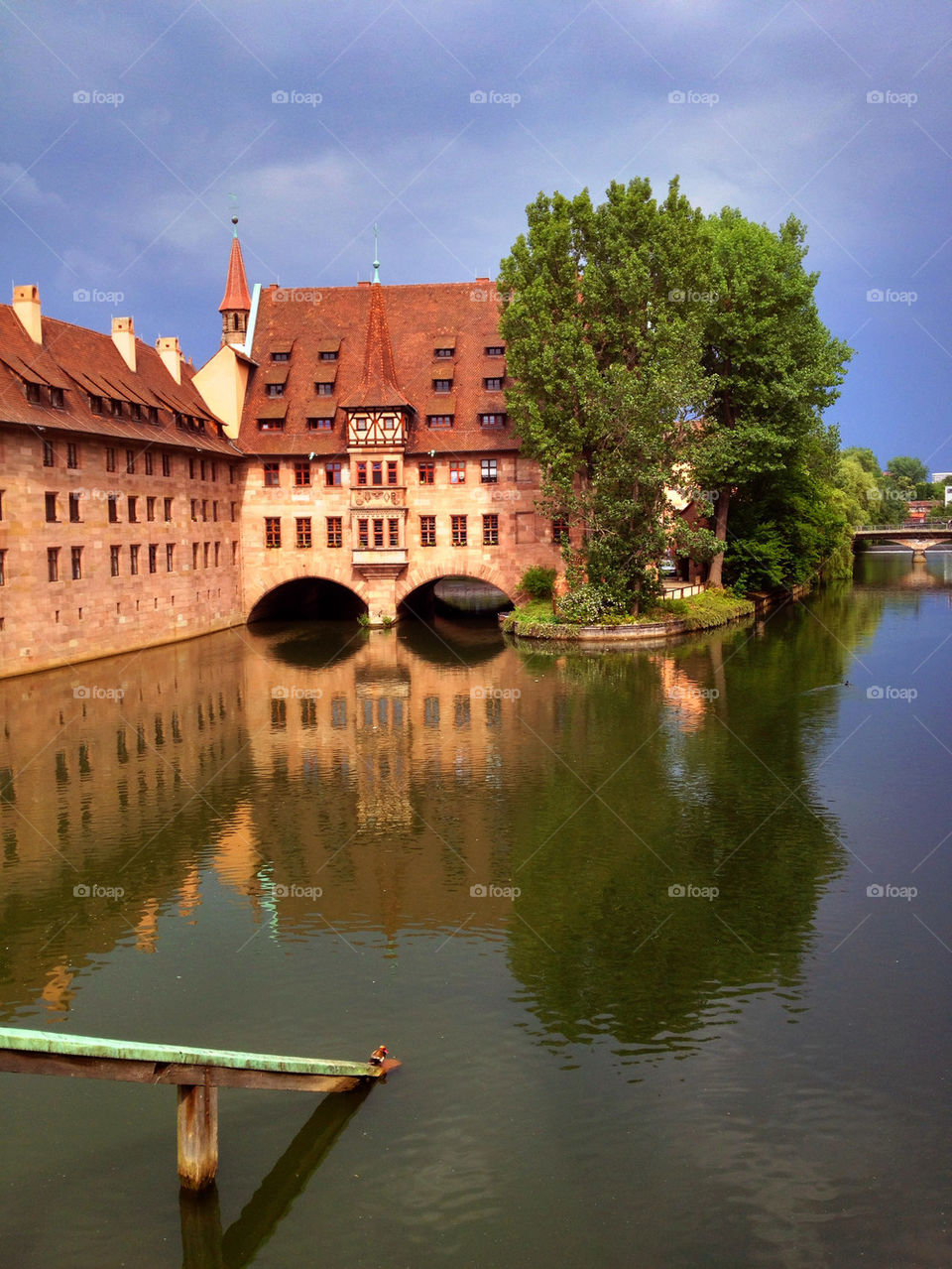 trees water town river by cyrano