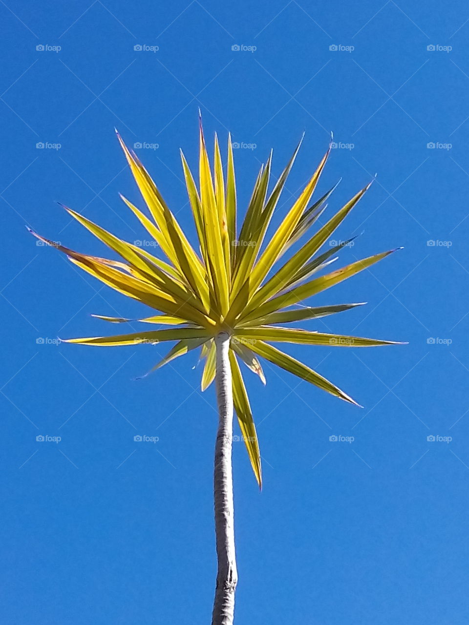 The beauty of Andalucian nature . The beauty of Andalucian nature 