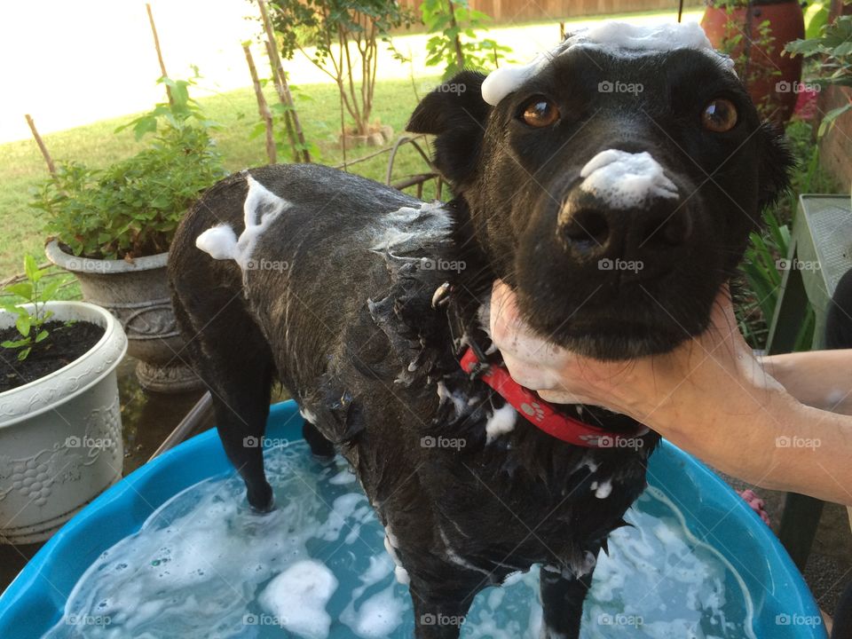 Bath time!. It was time for Leesa to get a bath!