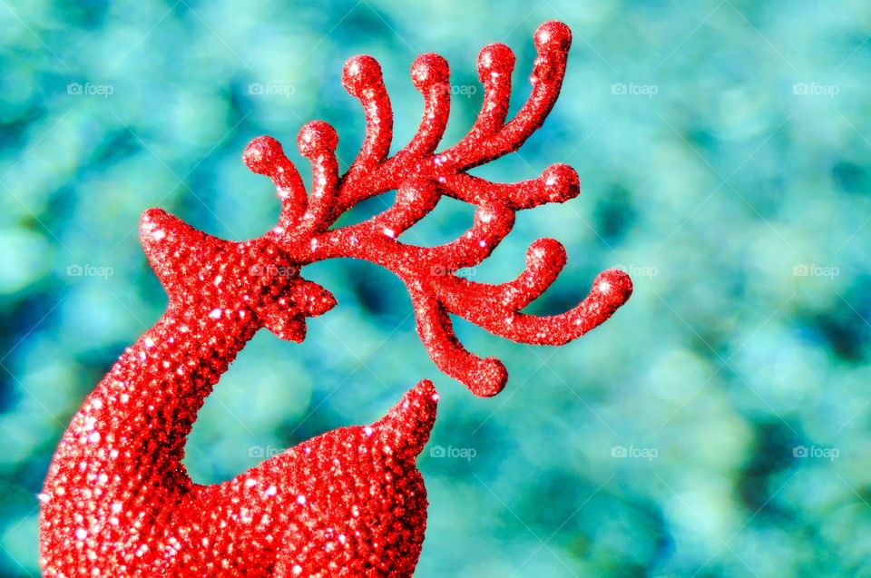 Reindeer. A red reindeer set against a blue sparkly background