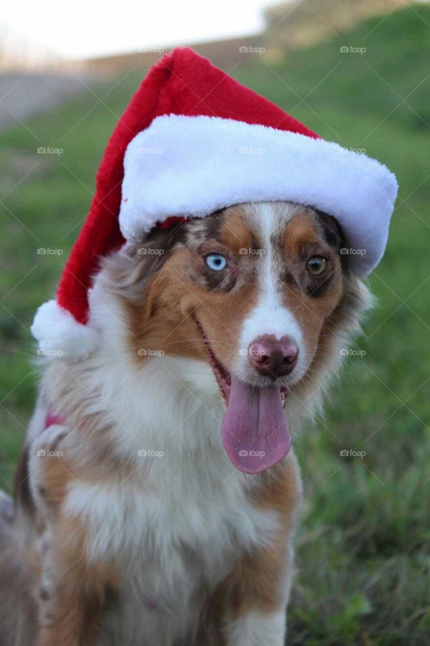 My heart at Christmas