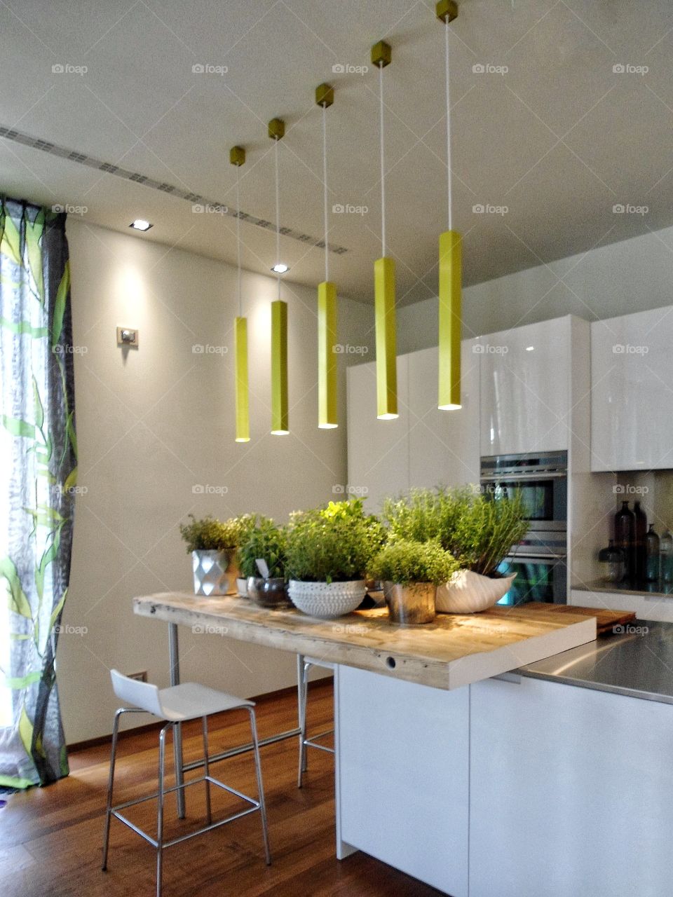 House plant collection