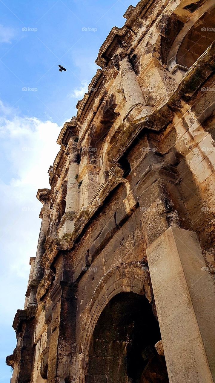 Facade of roman amphitheater, Nîmes arena, with a bird flying over under a blue sky