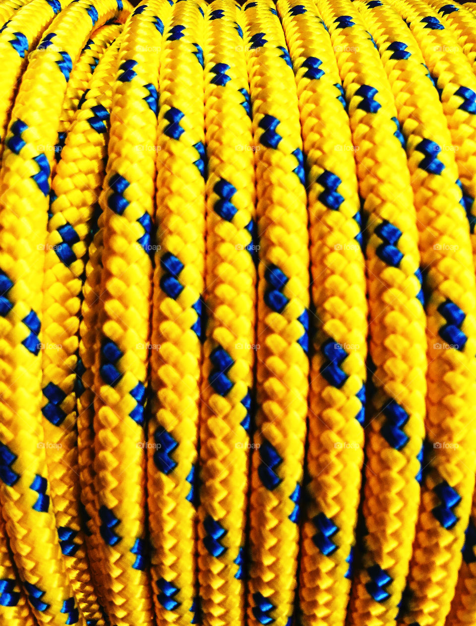 Yellow Blue Cord