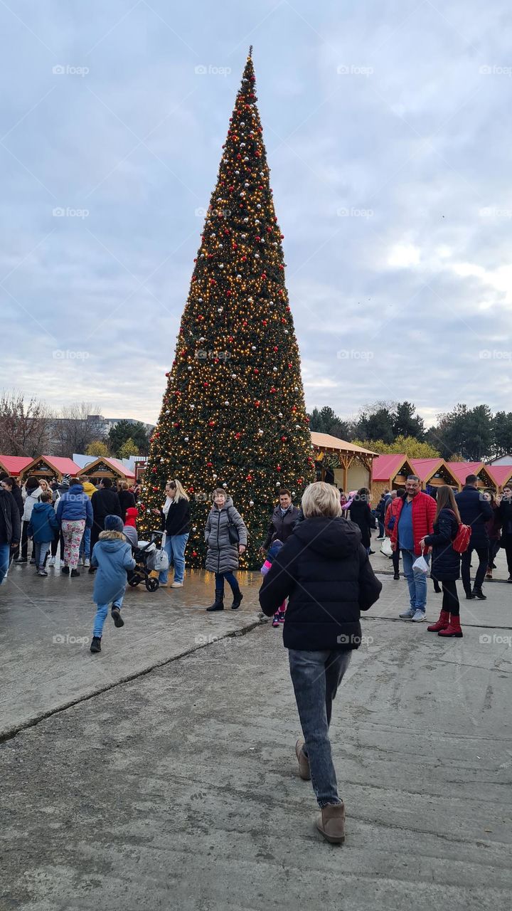 Christmas tree on the street