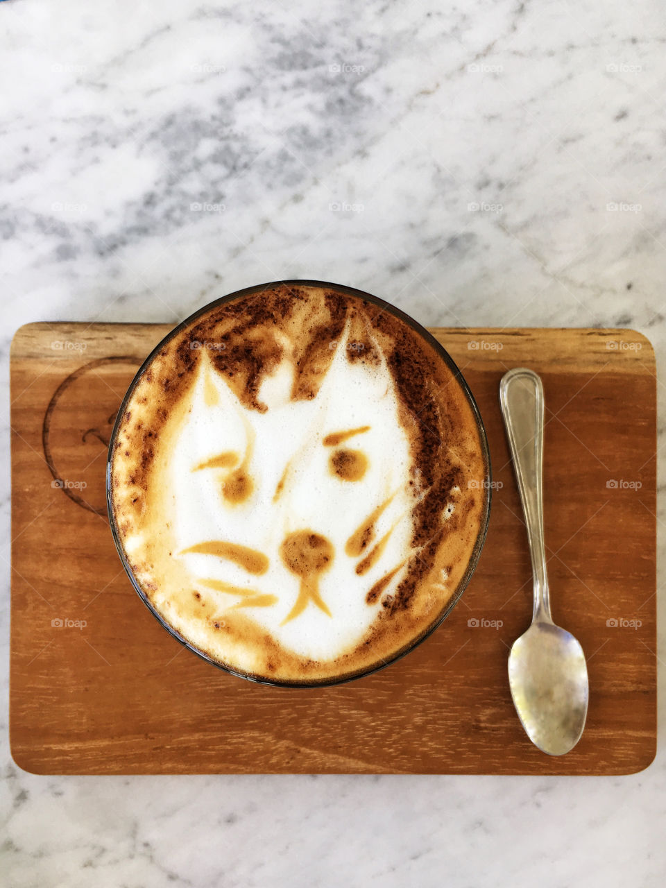 Cat picture in a coffee