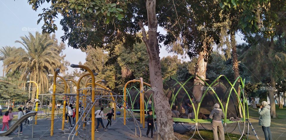 صور منطقة شجرية خيالية تستخدم للتصوير كخلفيات للافراح و مزار راح لمحبي التامل و مشاهدة الجمال الشجري والطبيعة
Pictures of a fictional tree area used for photography as wedding backgrounds and a shrine for lovers of contemplation and watching tree bea