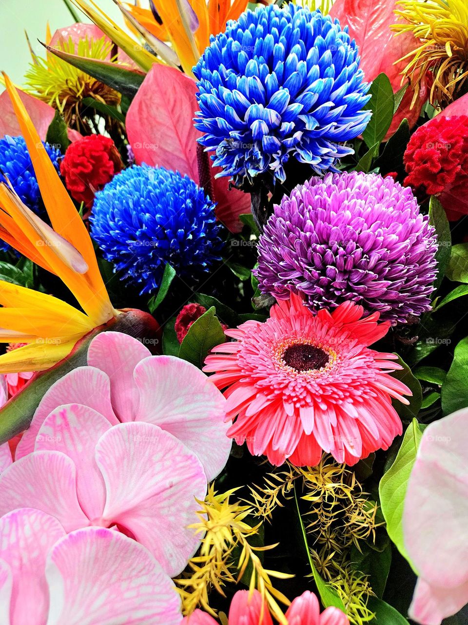 Bright and colorful flowers