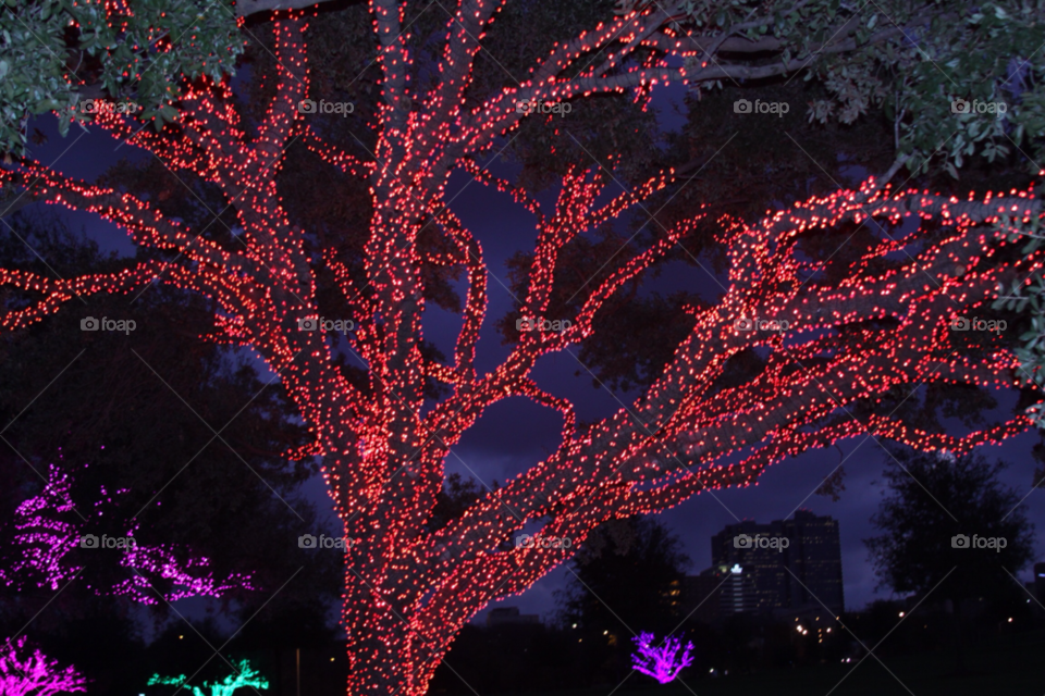 texas lights on a tree red tree lights by coheed3314