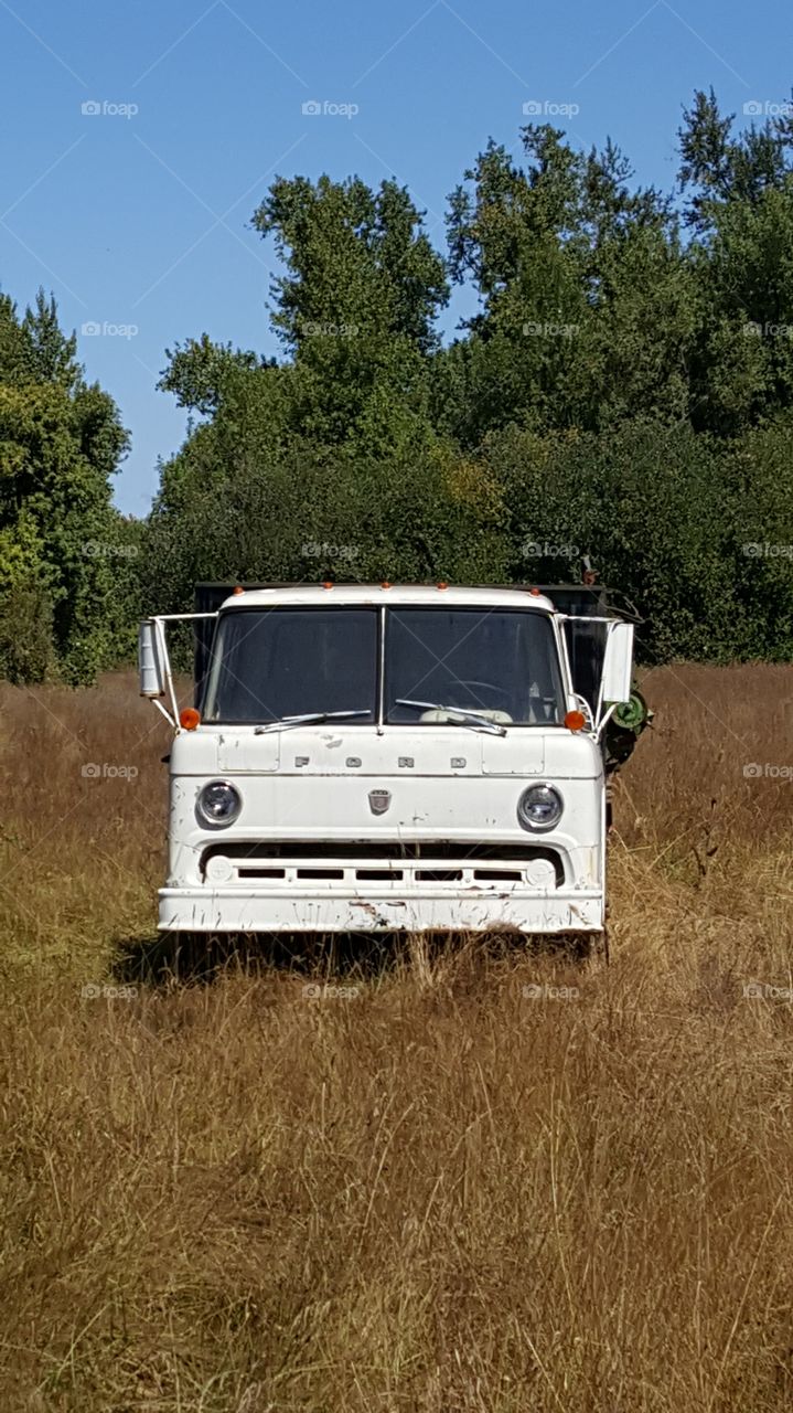 Abandonded Farm Truck