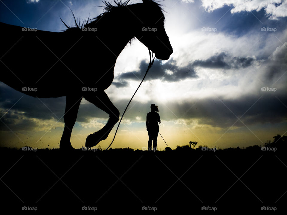 Cavalry, Silhouette, Sunset, Backlit, Mare