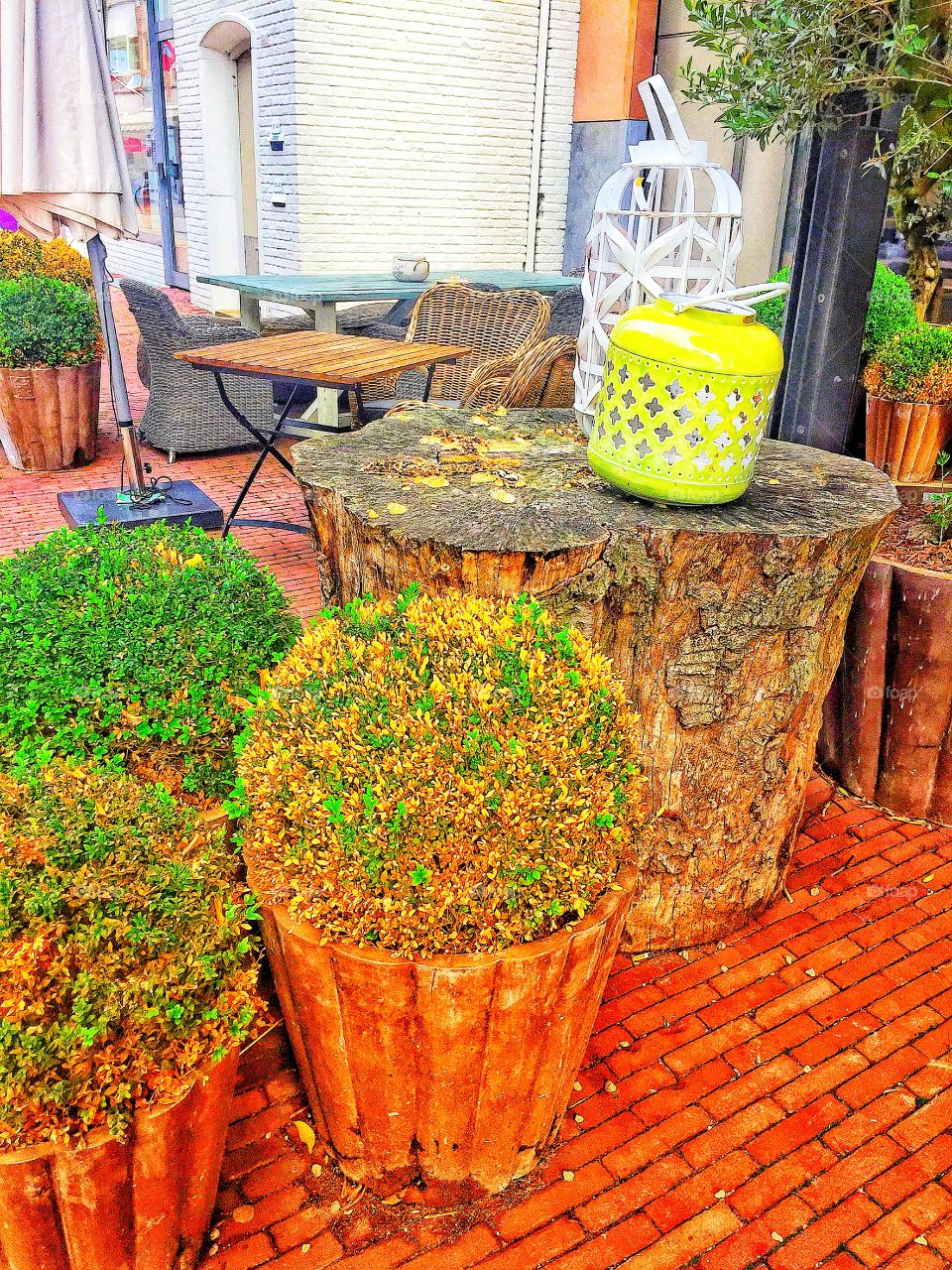 Garden decoration in autumn day 