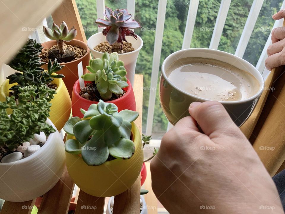 Enjoying coffee in the company of my indoor plants 