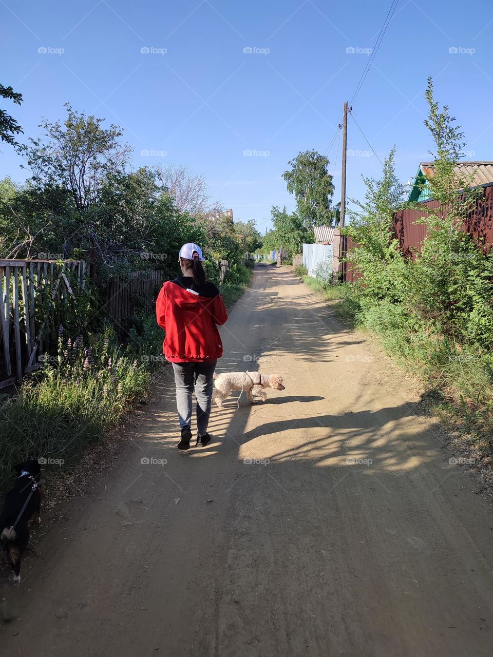прогулки с собакой