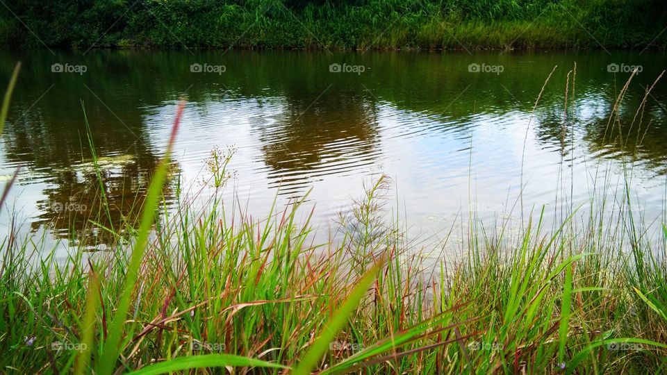 Landscape portrait - It's is check Dam water storage in rural area and surrounding beauty of nature.