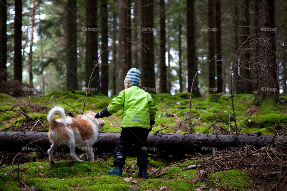 Walk in the Woods 