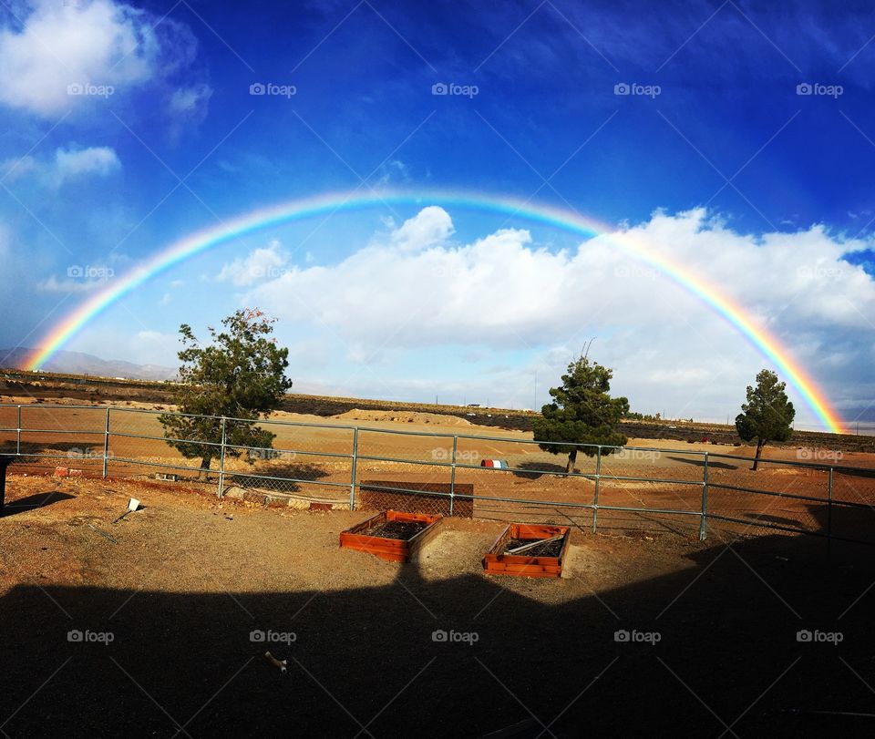 Desert rainbow