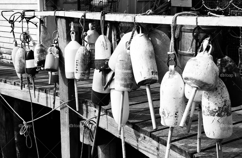 “The Roster”. Weathered fishermen’s buoys hang from the railing of a fish shack in Maine.