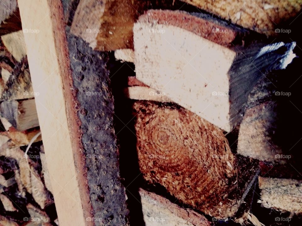 Tree retro
Дерево ретро