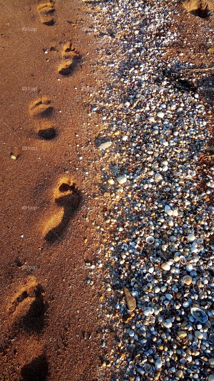 море.пляж.отдых.песок.след.ракушки.