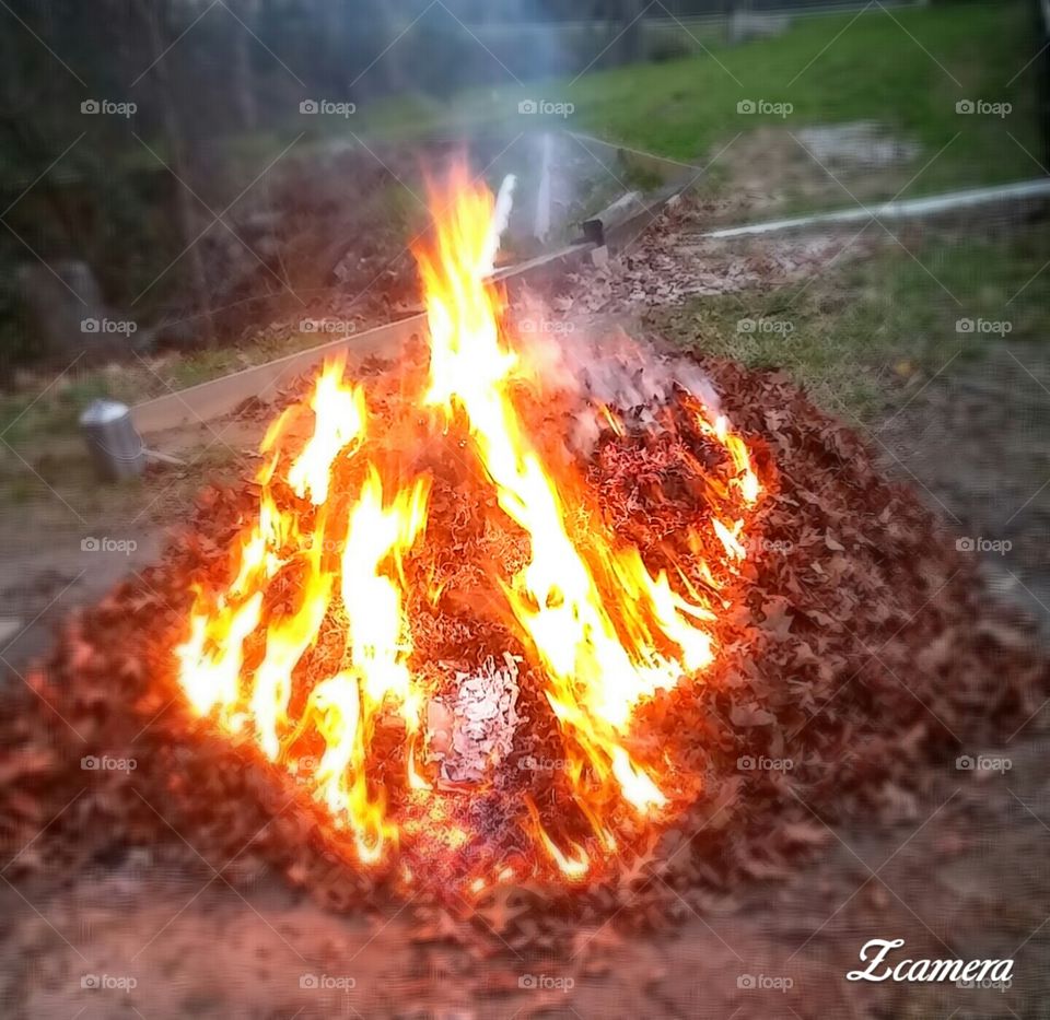 Burning autumn leaves in the spring
