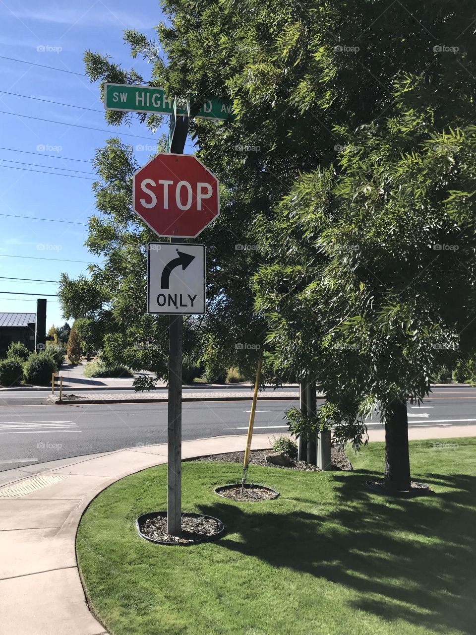 A “Stop” and “Right turn only” directional sign on a corner in the city amongst lush green trees with a beautiful blue sky in the background on a sunny fall day in Central Oregon.